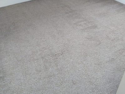 Carpet Cleaning Citywest