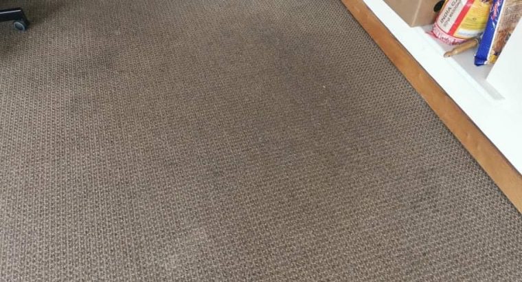 Carpet Cleaning Clonskeagh