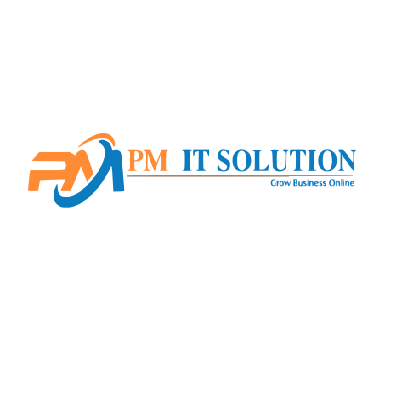 PM IT Solution | Seo Company In Jaipur