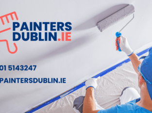 Painters Dublin | Painters & Decorator Services