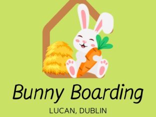 Your Premier Holiday Boarding Destination For Rabbits!